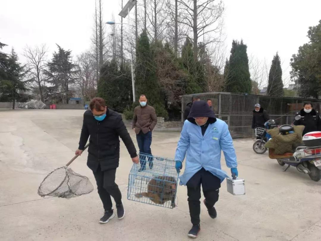 微信图片_20200302153213.jpg